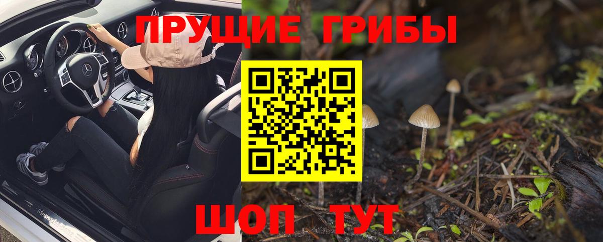 Галлюциногенные грибы Cubensis Ростов Великий