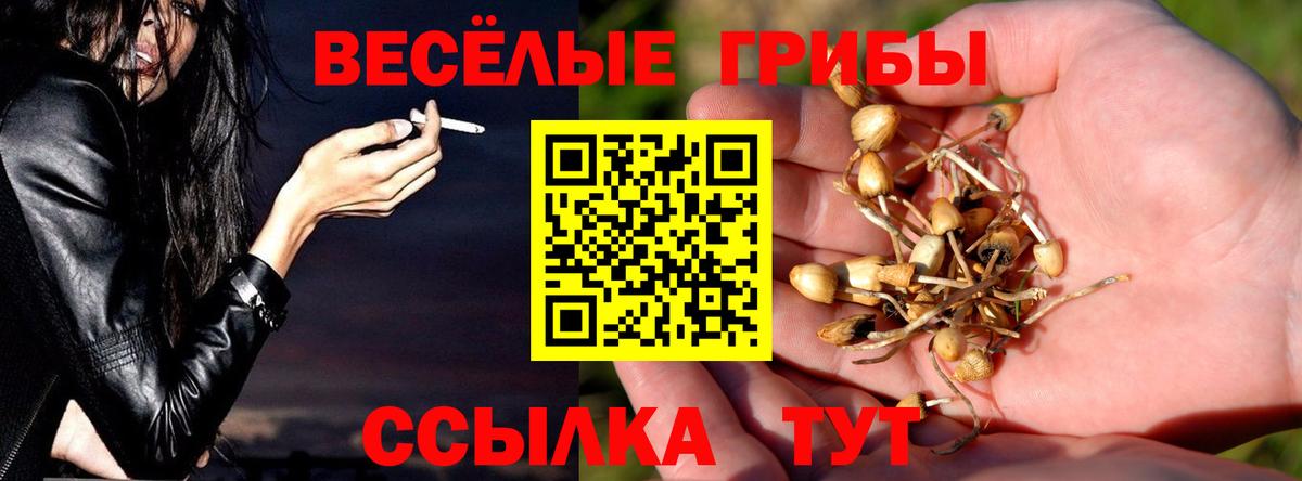 Ростов Великий  Галлюциногенные грибы мухоморы  Вход с VPN 